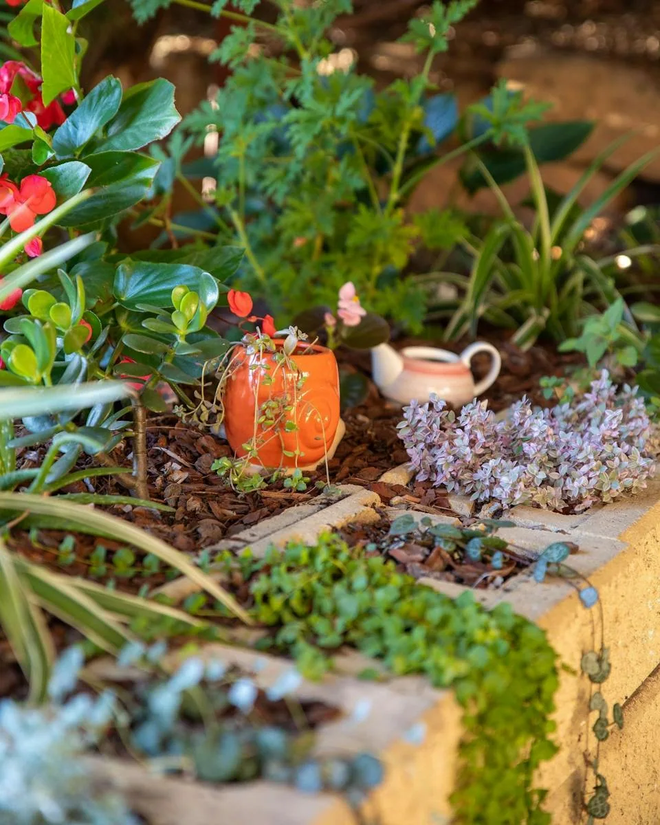 Succulents, flowers and terracotta pots in the Elderflower garden